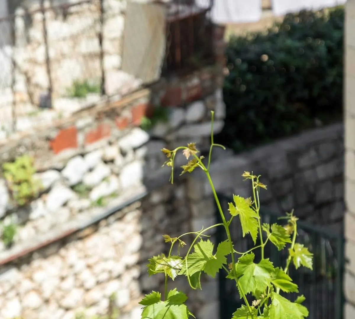 Luxury Apartment In Old Town Center With Sea View Split